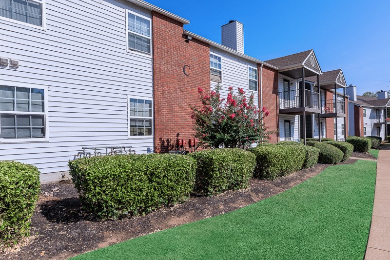 a row of hedges in front of a building