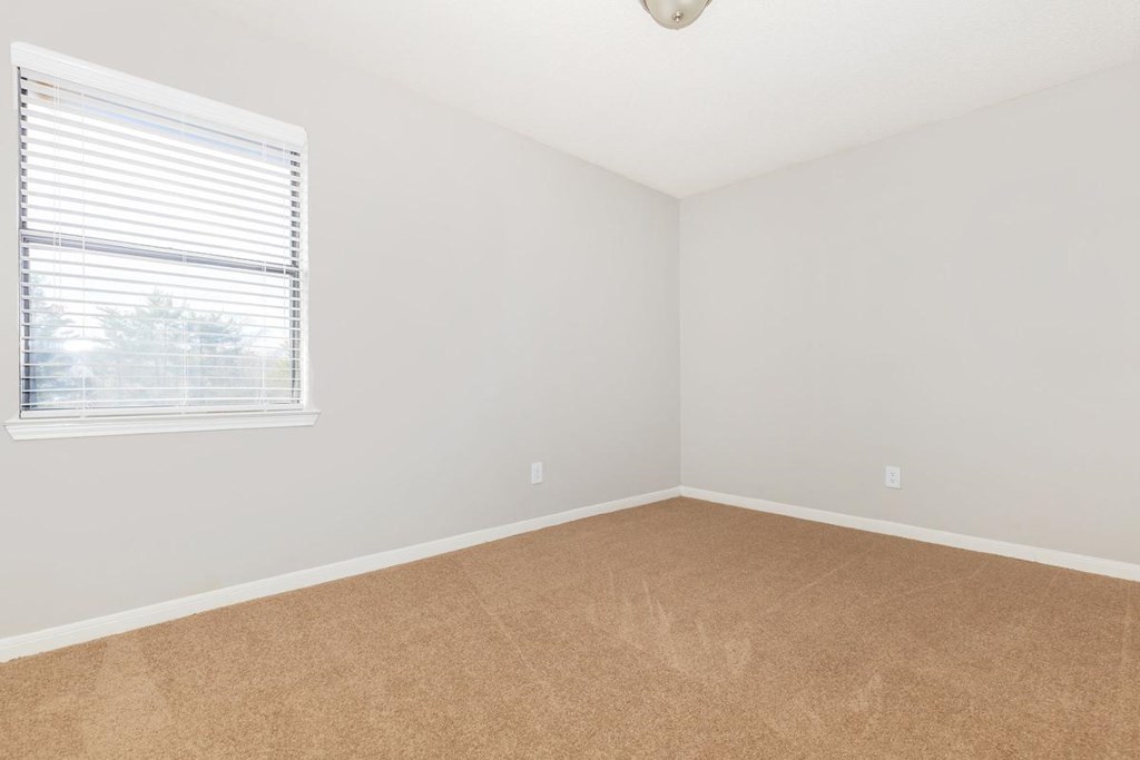 an empty room with a window and carpet