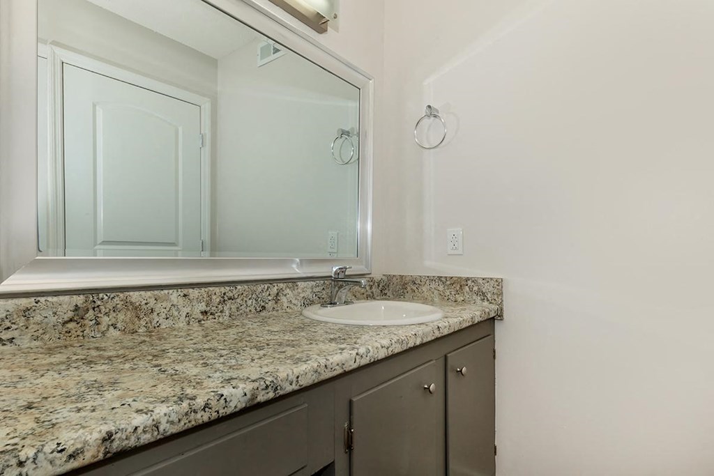 a bathroom with a sink and a large mirror