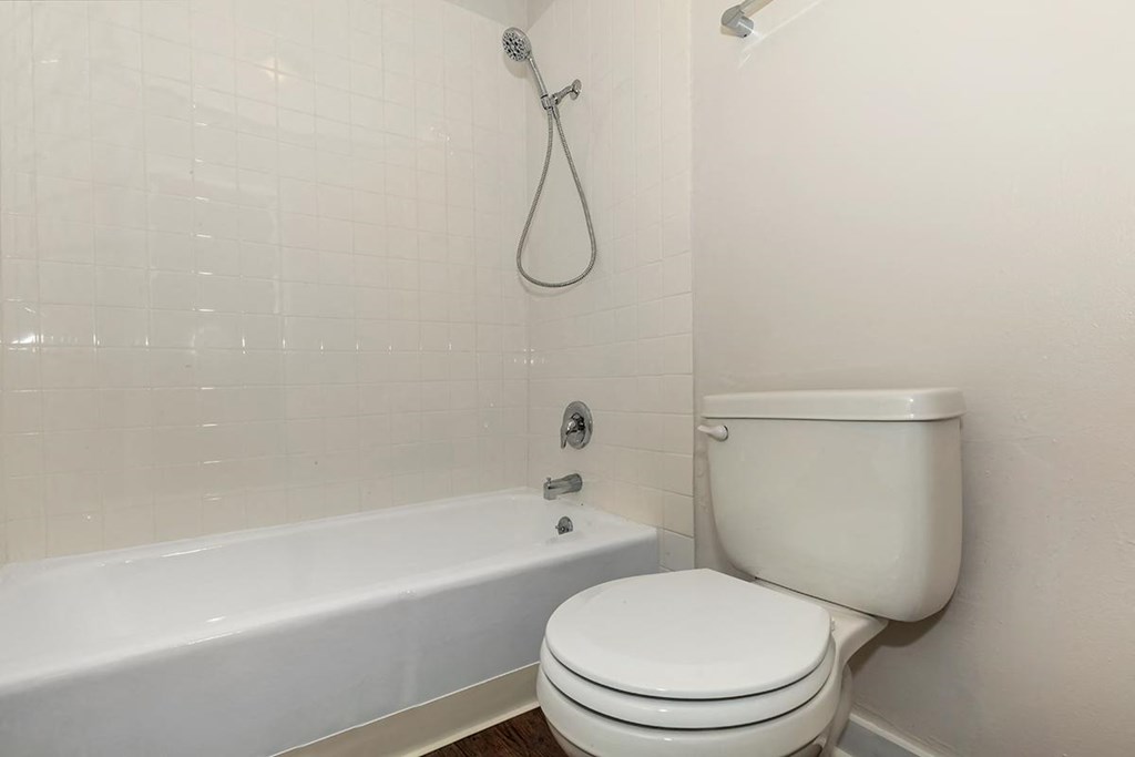 a bathroom with a toilet and a bath tub