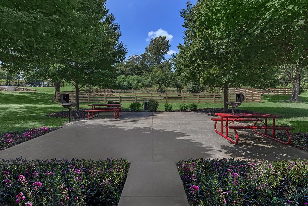 a park with two red benches and trees