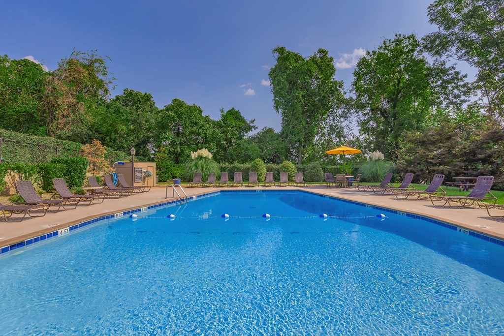 the swimming pool at or near the resort at governors residence
