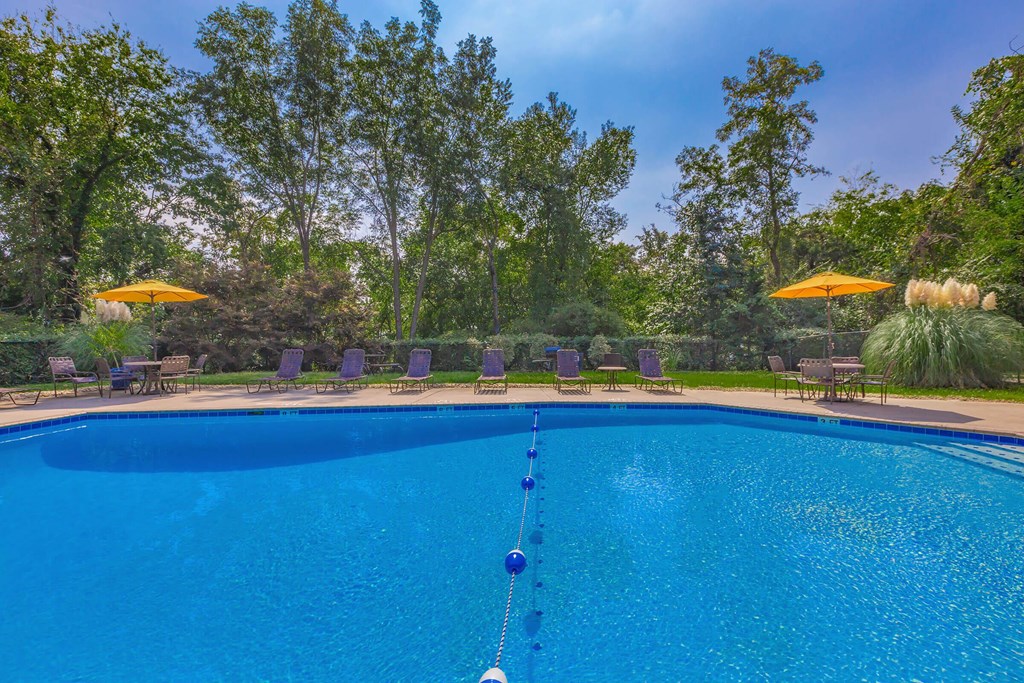 a swimming pool with chairs and umbrellas around it