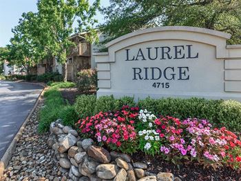 1 Bedroom Apartments In Chattanooga