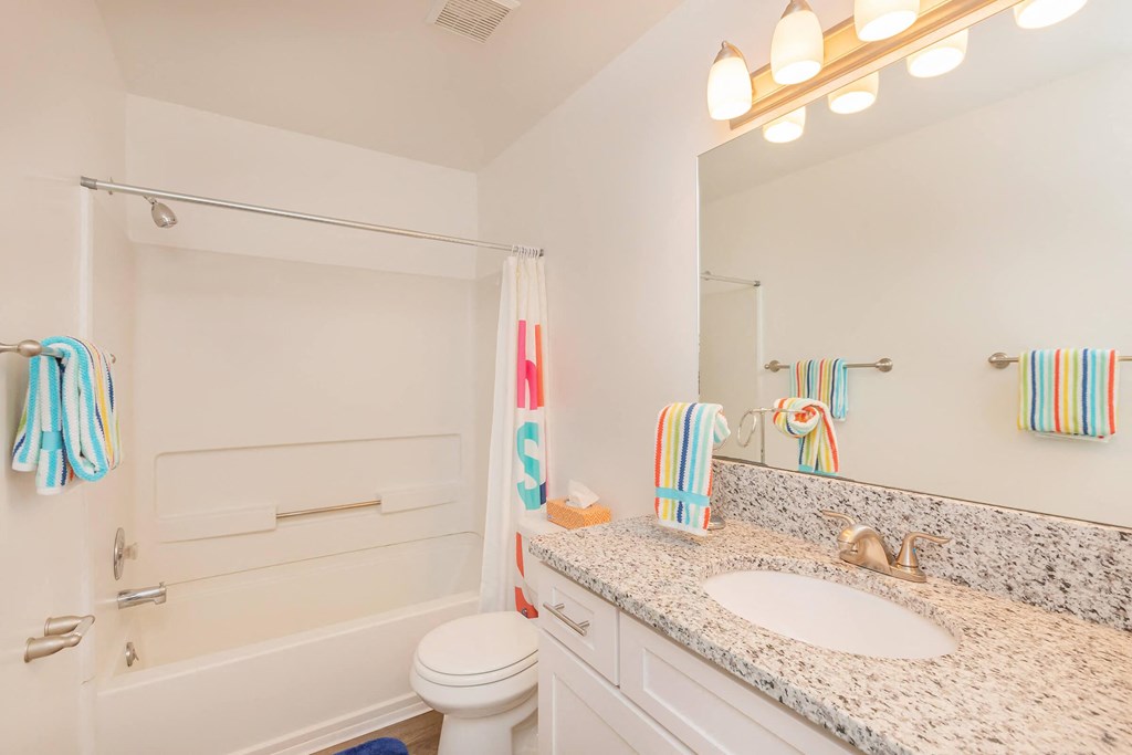 a bathroom with a sink and a toilet and a shower
