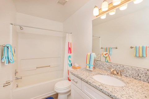 a bathroom with a sink and a toilet and a shower
