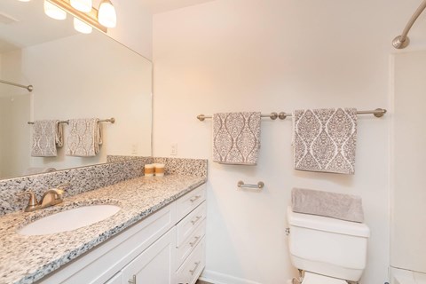a bathroom with granite counter tops and a toilet and sink