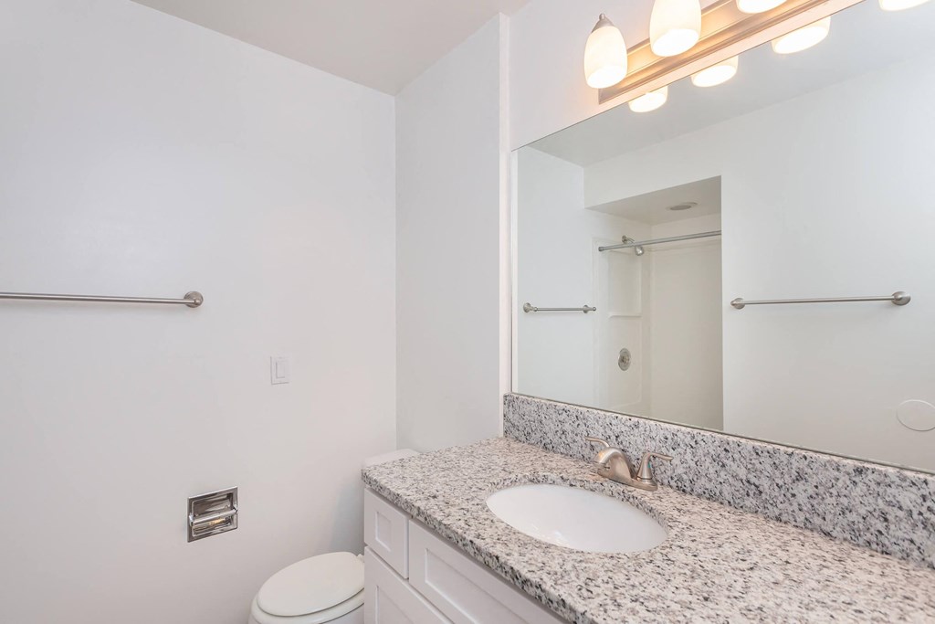 a bathroom with a sink and a mirror and a toilet