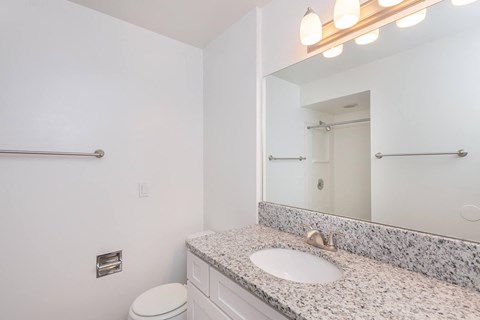 a bathroom with a sink and a mirror and a toilet