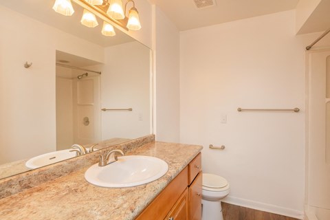 a bathroom with a sink and a toilet and a mirror