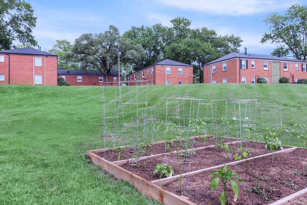 a garden in the middle of a field