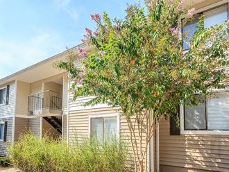 200 Highwood Ct. 1-2 Beds Apartment for Rent - Photo Gallery
