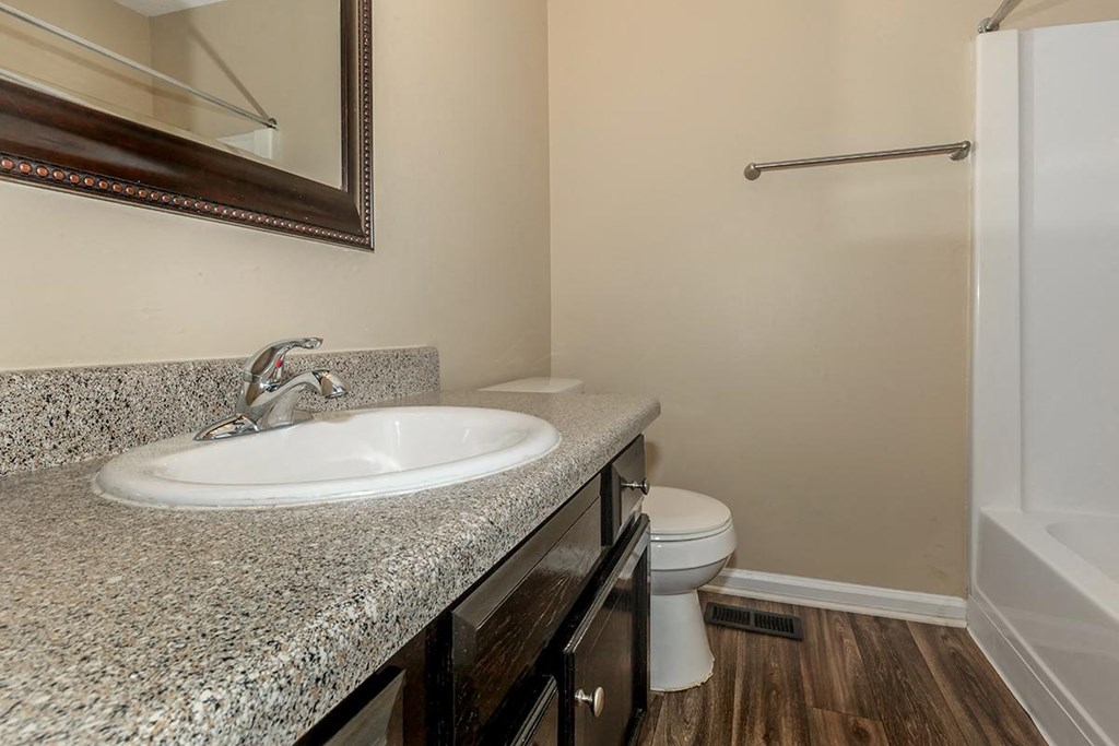 a bathroom with a sink and a toilet