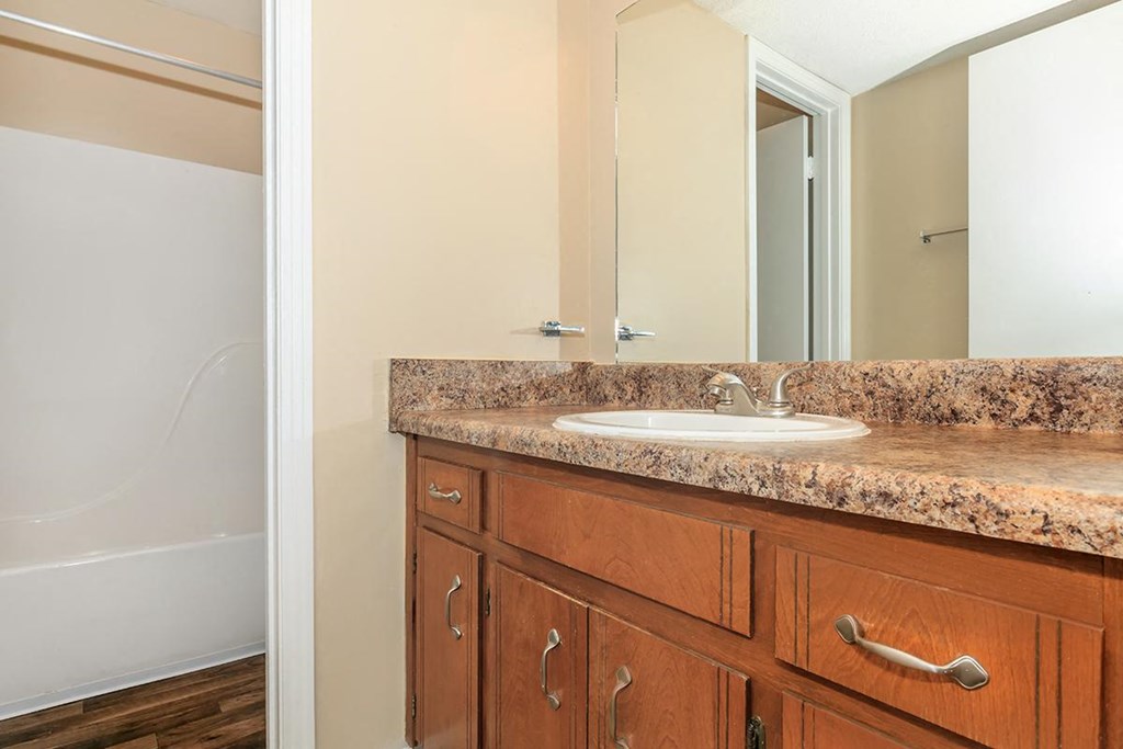a bathroom with a sink and a mirror