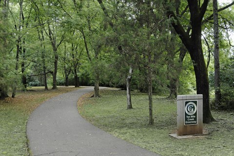 a path through a park with trees and a sign