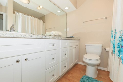 a bathroom with a toilet and a large mirror