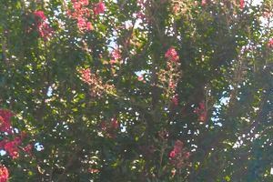 Best 1 Bedroom Apartments in Knoxville, TN: from $660 | RENTCafé