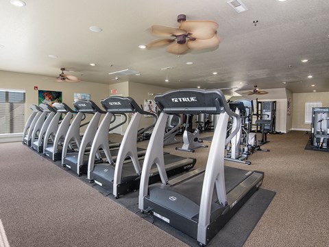 the gym is equipped with state of the art cardio equipment