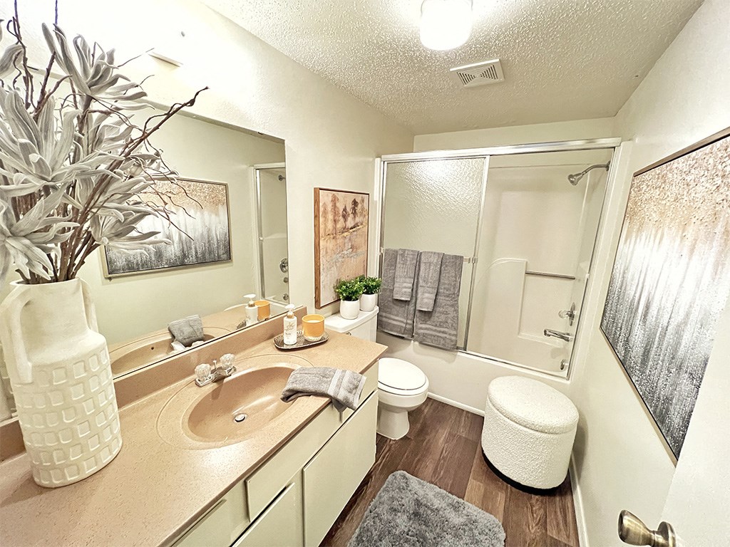 a bathroom with a sink and a toilet and a shower