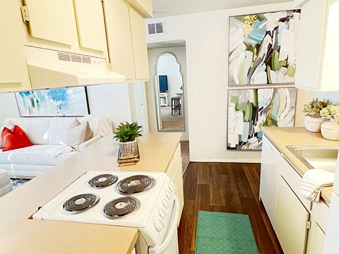 a kitchen with a stove and a counter top