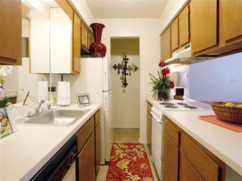 955 South German Lane #A1 1-2 Beds Apartment for Rent - Photo Gallery 10