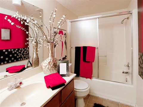 a bathroom with a sink and a toilet and a shower