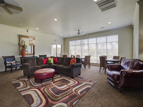 a living room with leather furniture and a rug