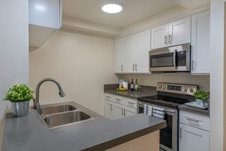 339 S. Ardmore Avenue Studio-2 Beds Apartment for Rent - Photo Gallery 1