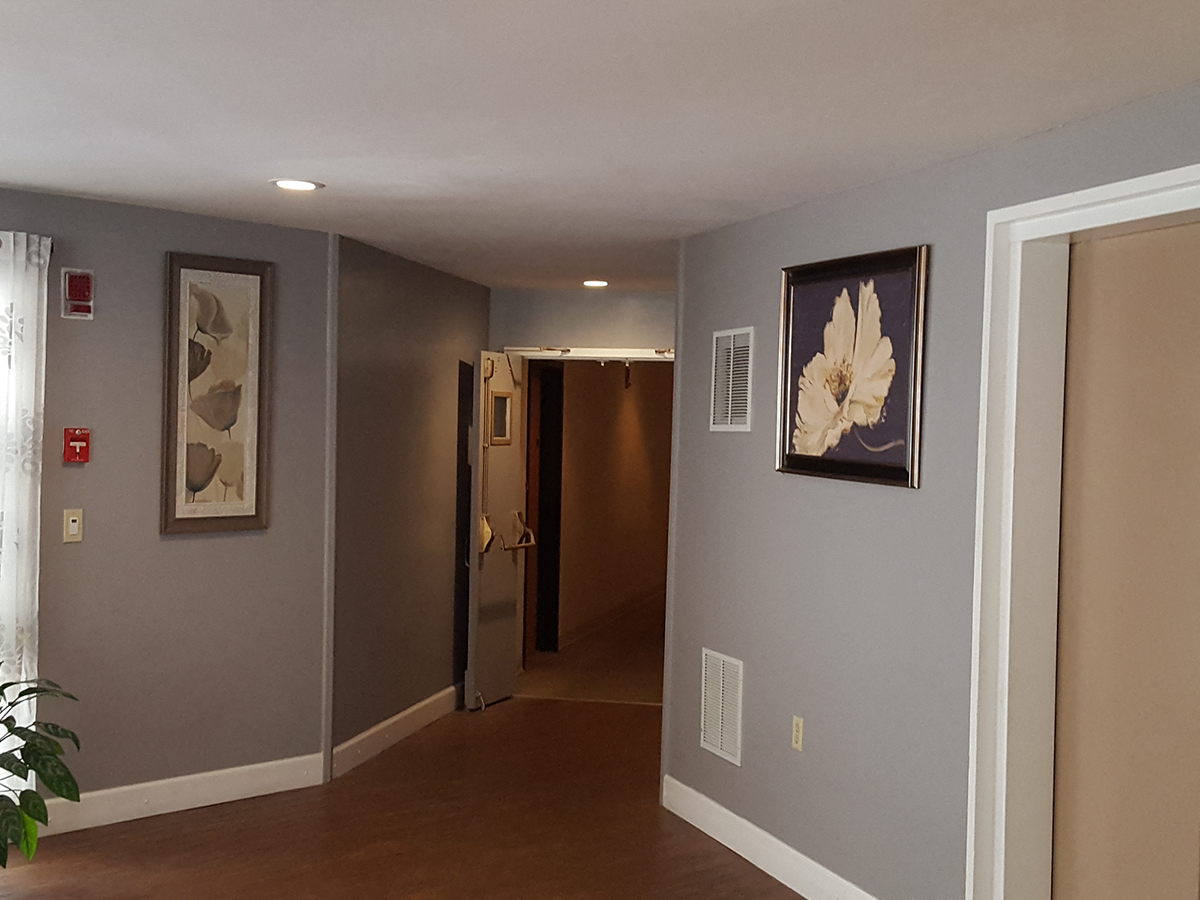 A hallway with a plant on the left and a painting on the right.