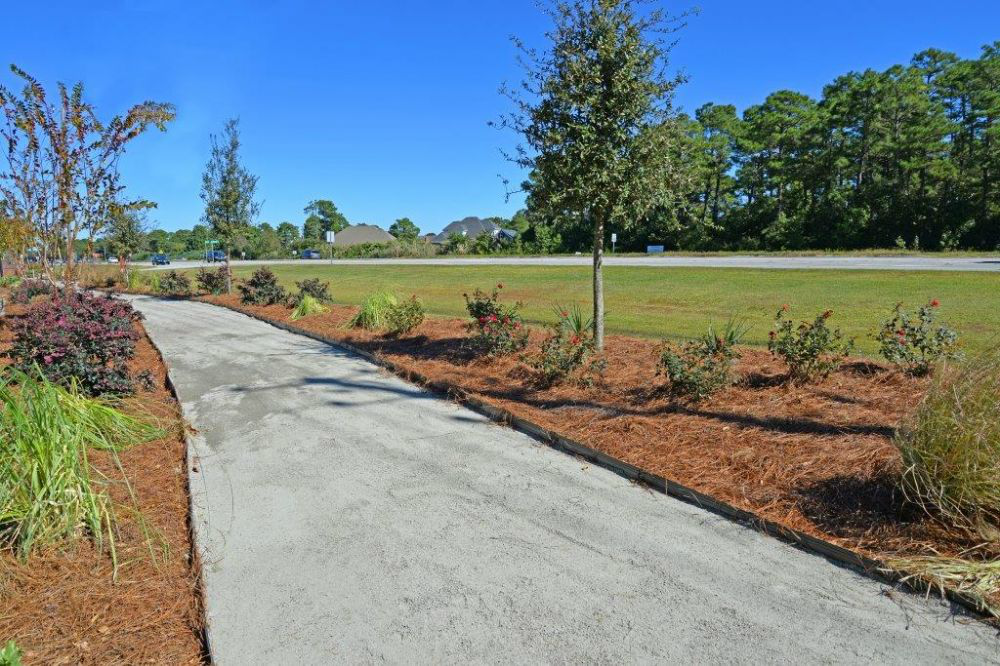 a paved road next to a field with trees and plants