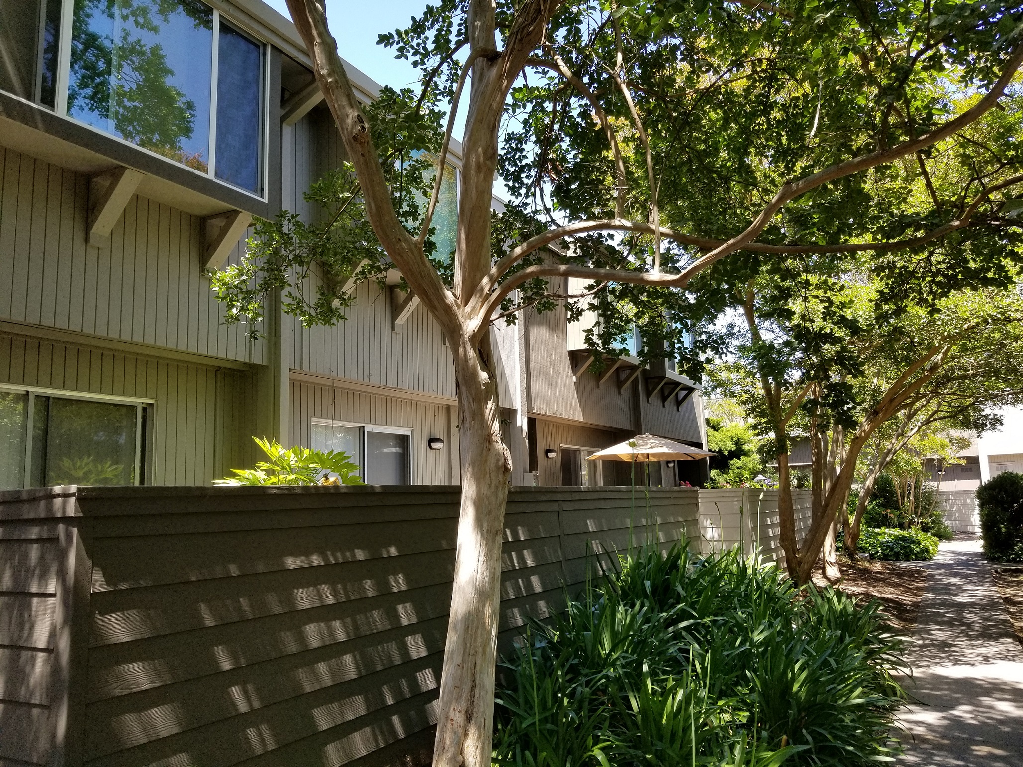 Enclosed Private Patios and Landscaping at The Marq | Santa Rosa, CA
