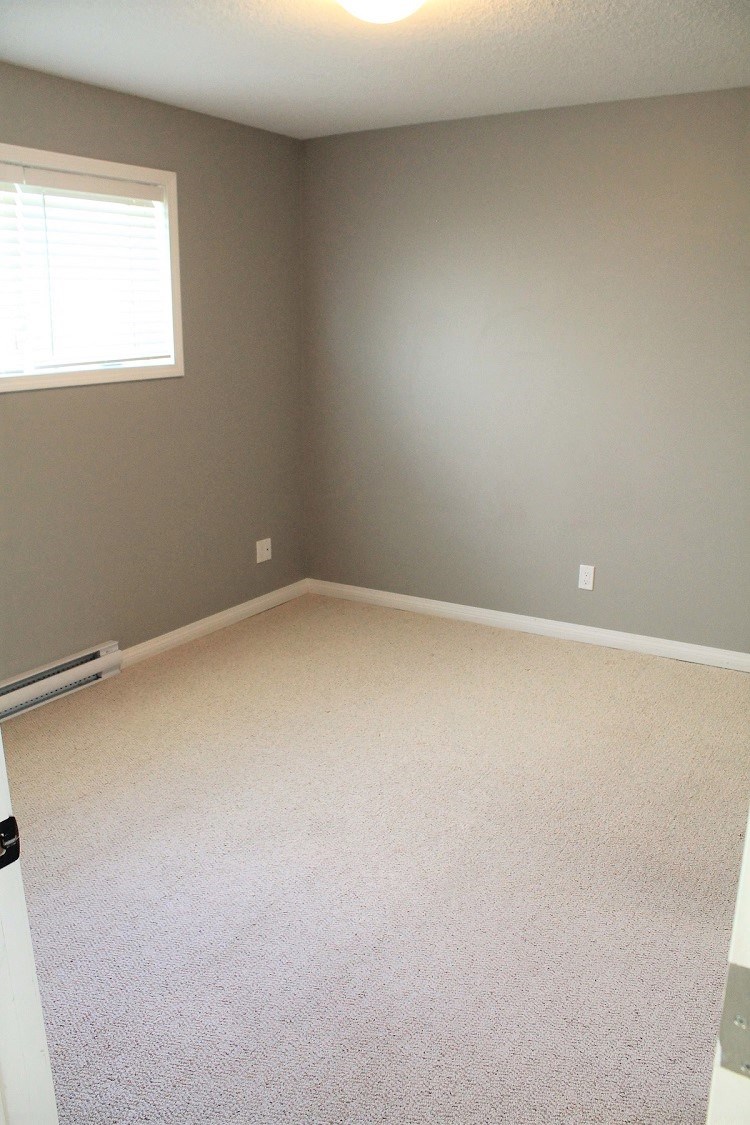 an empty room with a white carpet and a window