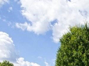 Beautiful Views at The Orchards at Four Mile Apartments Community Exterior - Photo Gallery 4