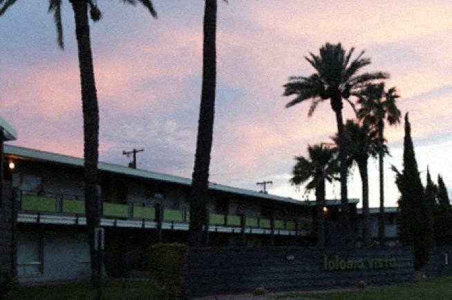 a train is parked next to palm trees