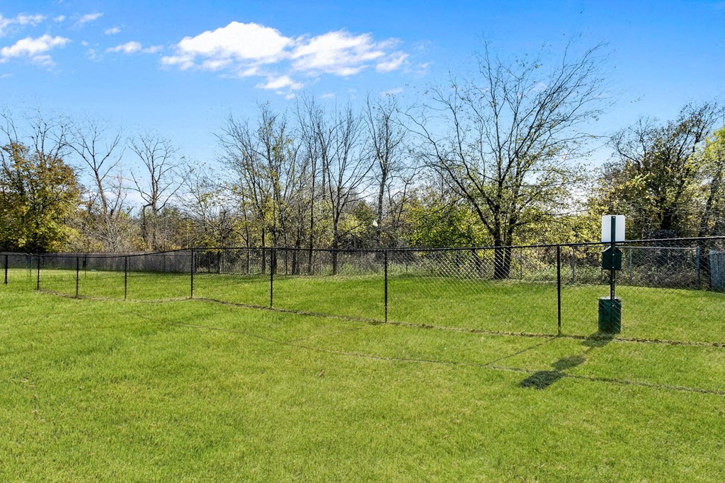 a chain link fence in a field with trees behind it