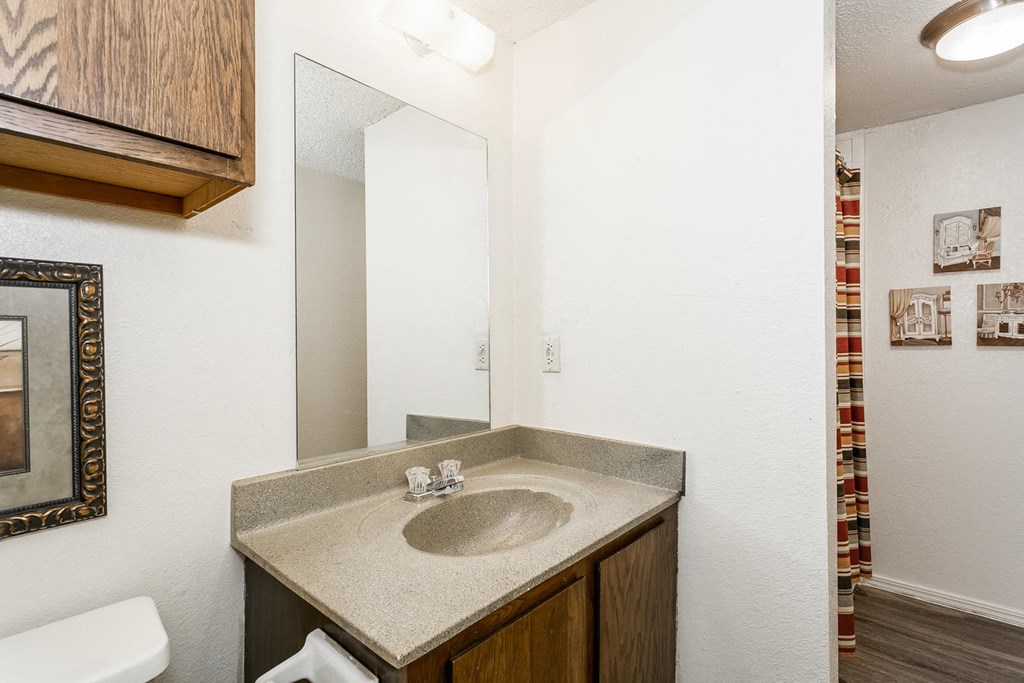 a bathroom with a sink and a mirror