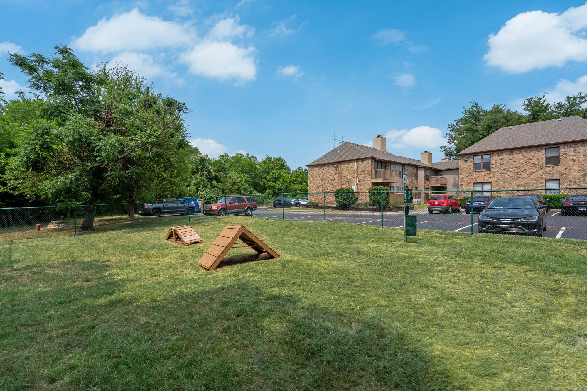 Dog, Pet, Dog Park, Park