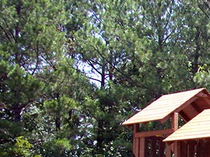 Mingo Creek Playground a playground with three wooden structures and three sets of slides