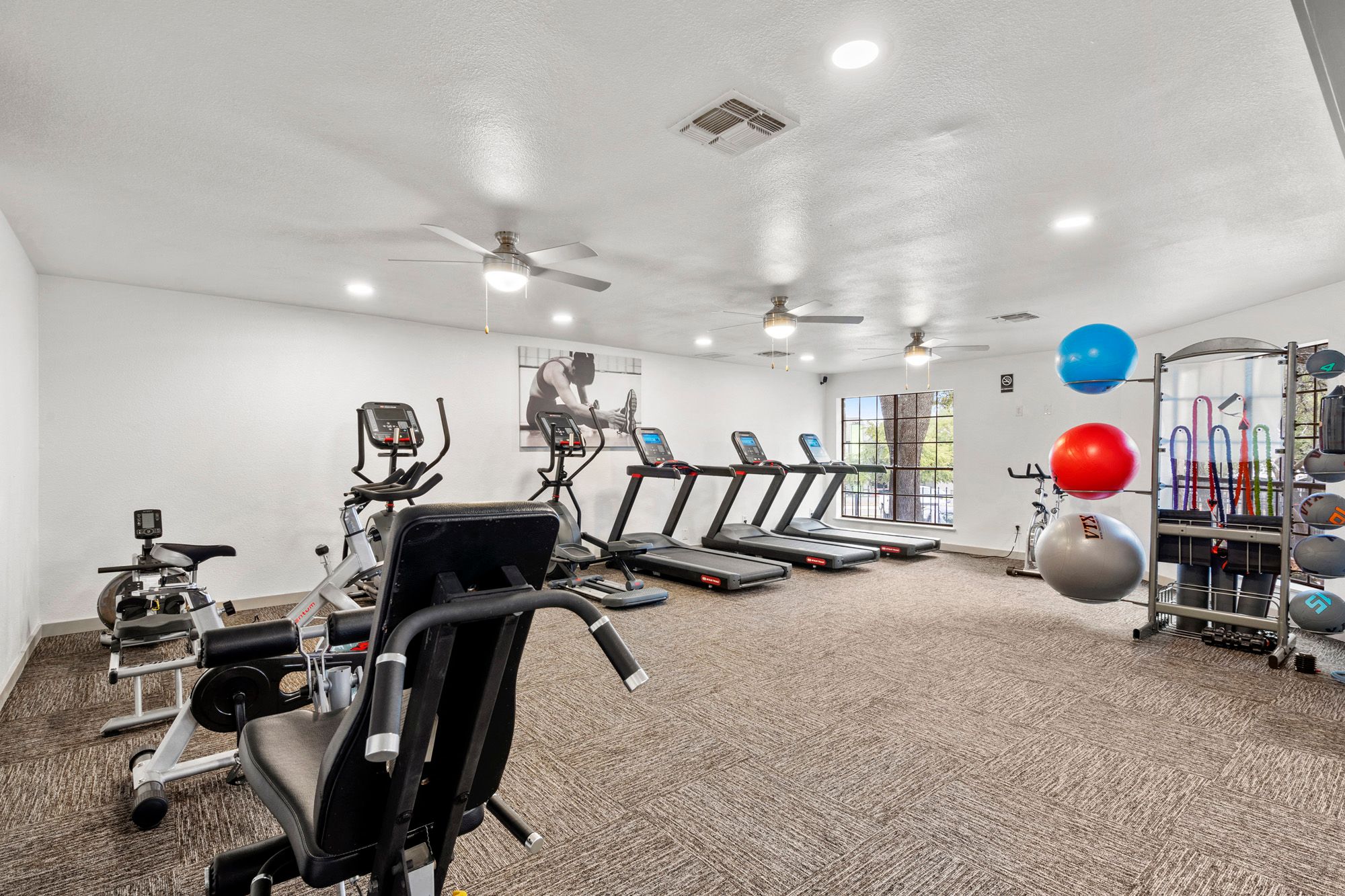 Fitness, Treadmill, Equipment, Exercise, Gym