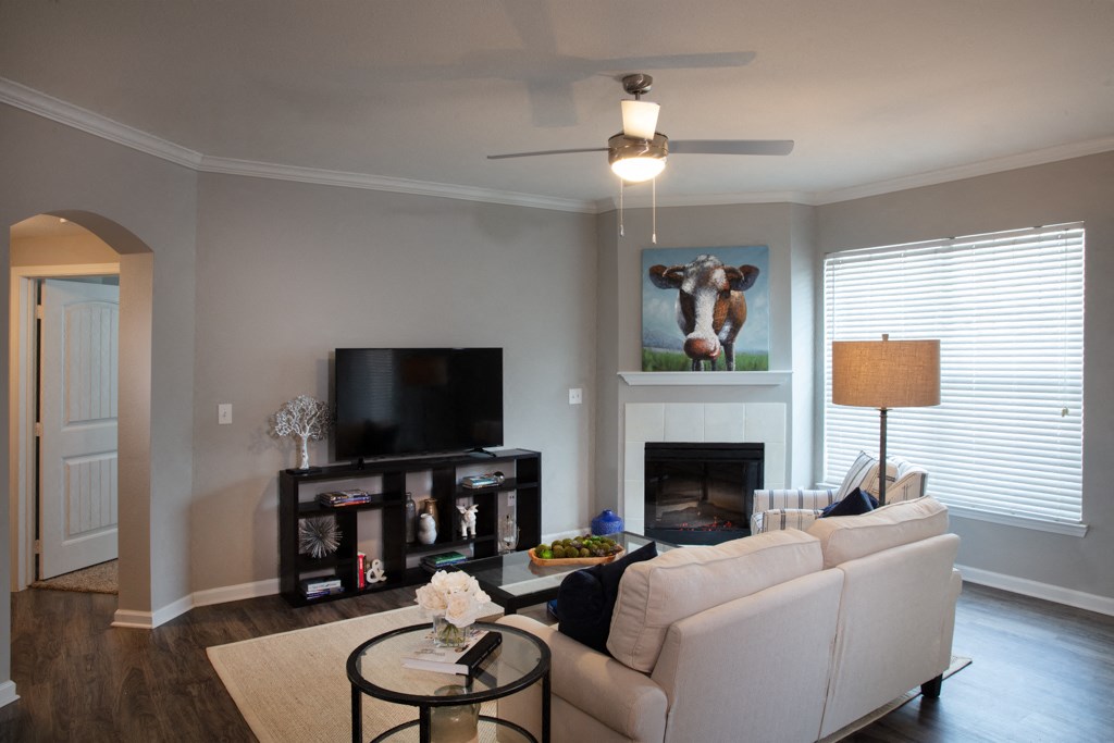 a living room with a couch and a tv and a fireplace