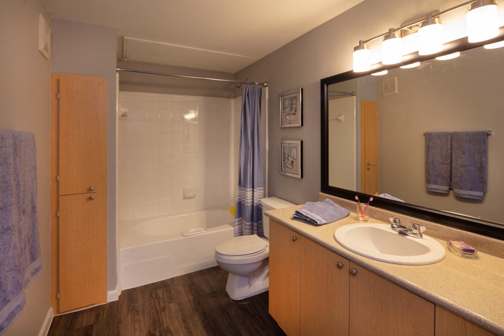 a bathroom with a sink and a toilet and a shower