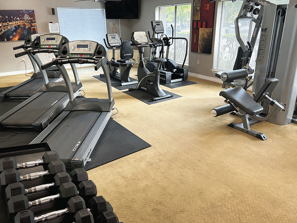 a state of the art gym with cardio machines and weights