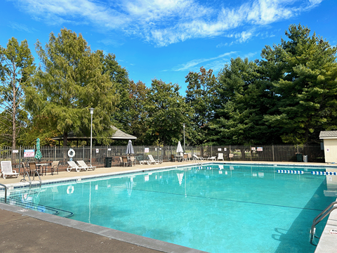 a swimming pool with chairs and trees in the background