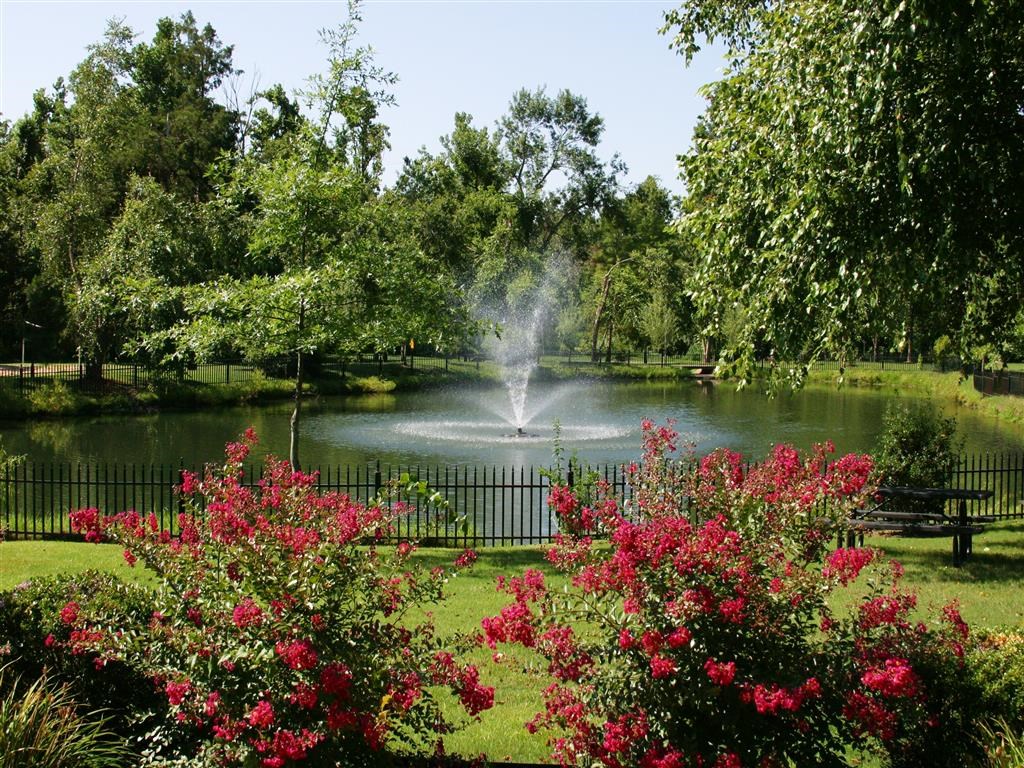 a fountain in the middle of a lake in a park