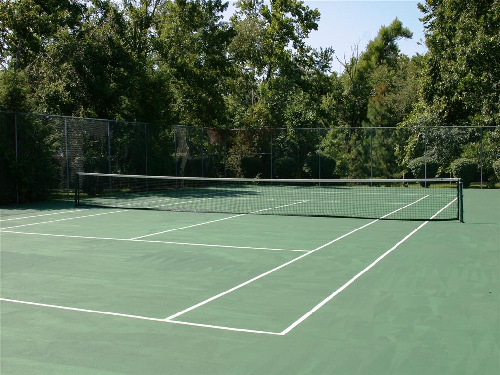 a tennis court with trees in the background
