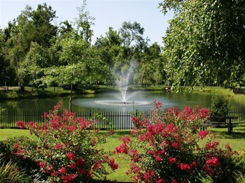 2797 Coy Kaylor Drive 1-2 Beds Apartment for Rent - Photo Gallery 3