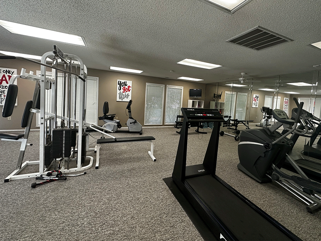 our gym is equipped with a variety of exercise equipment