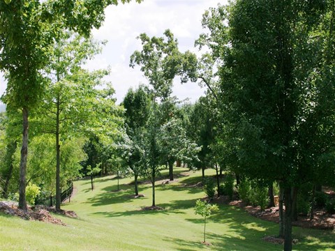 a view of a golf course with trees