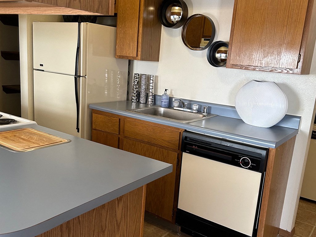 a kitchen with a sink and a dishwasher and a refrigerator