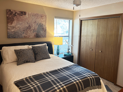 a bedroom with a bed and a closet